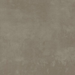 Grey Grey